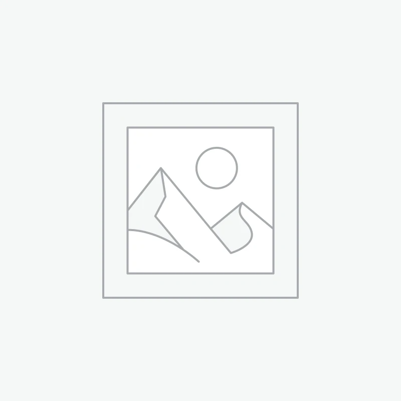 Graphic Design Portfolio Creation and Curation