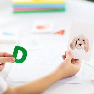 Phonics Teaching Certification Program