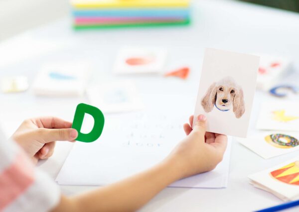 Phonics Teaching Certification Program