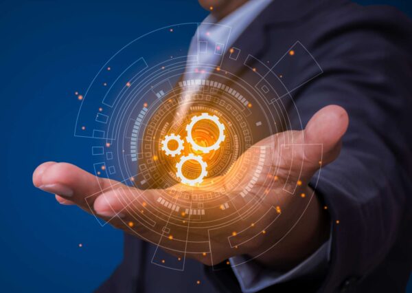 Advanced PLR Mastery Techniques