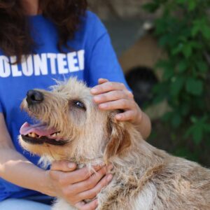 Animal Care Training Program