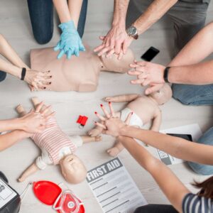 Complete Animal First Aid Training