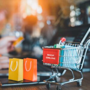 Comprehensive Online Shipping Course