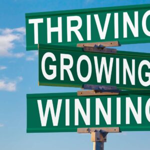 Decoding Success: Thriving in the Modern YouTube Landscape