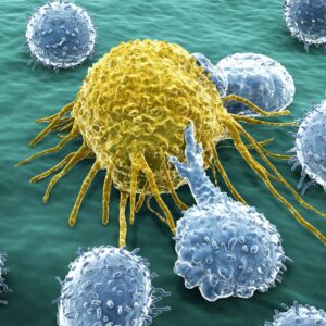 Disease Defense Strategies: Containment Tactics