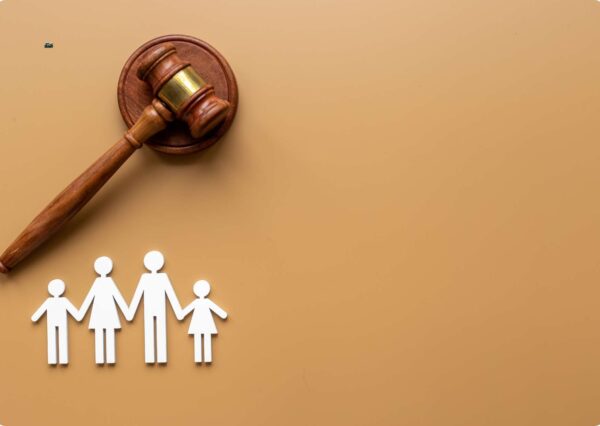 Family Law Fundamentals Course