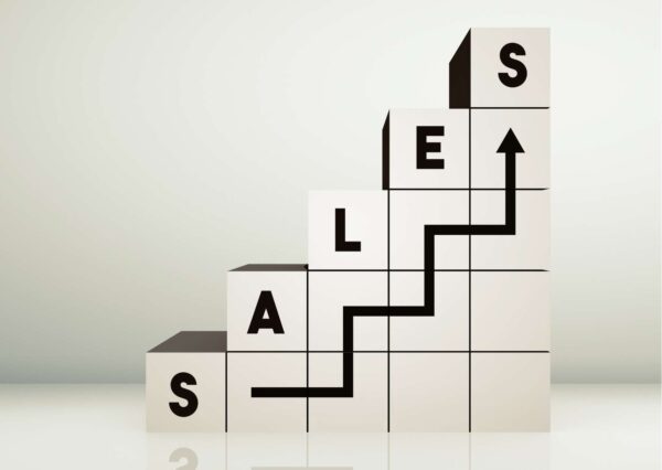 Flippa Sales Success Mastery