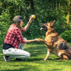 Guide Dog Trainer Essentials