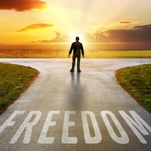 Pursuing Freedom and Happiness: Liberation Synergy