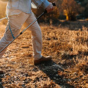 Journeys to Enlightenment: Exploring Paths