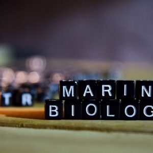 Marine Biology Diploma