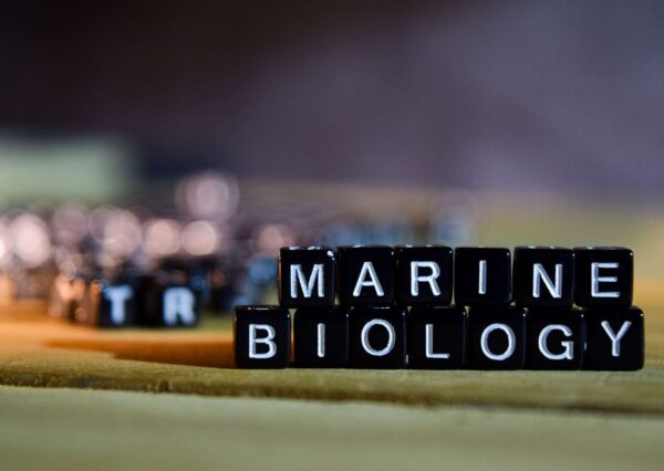 Marine Biology Diploma