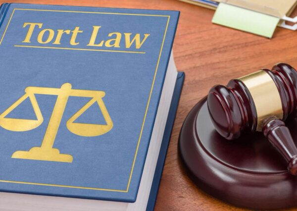 Advanced Tort Law Principles