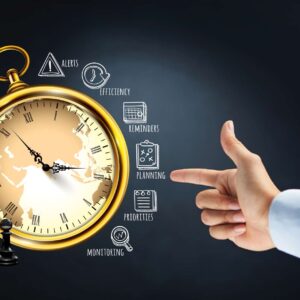 Resilience Strategies for Turbulent Times