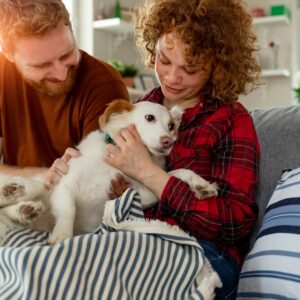 Canine Companionship Accreditation