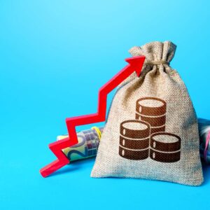 Rapid Wealth Generation Accelerator