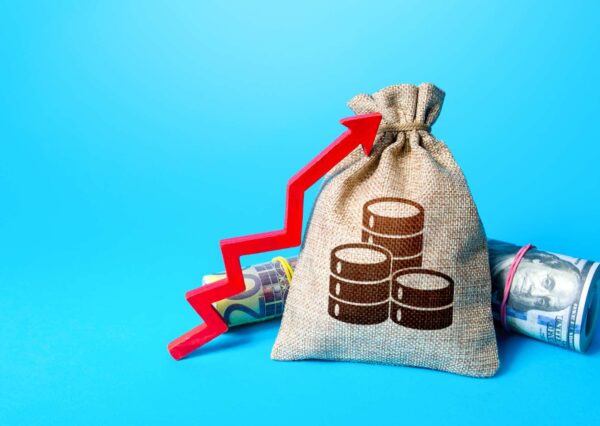 Rapid Wealth Generation Accelerator