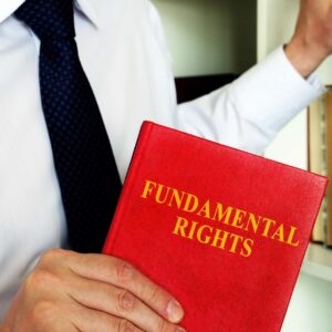 PayPal Essentials: Navigating Fundamentals