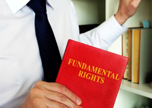 PayPal Essentials: Navigating Fundamentals