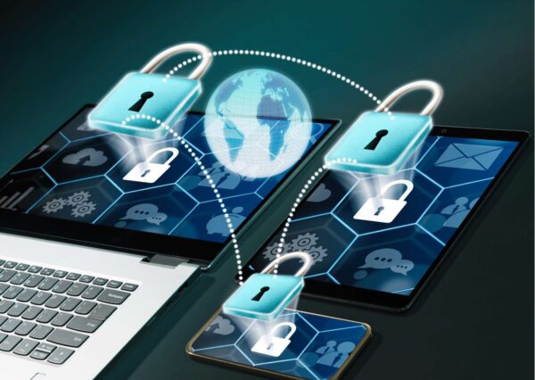 Cyber Shield: Strengthening Your Web Business