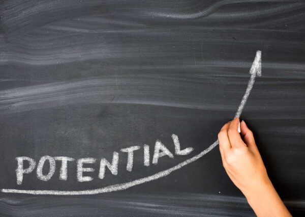 iPhone Development Workshop: Unleashing Potential
