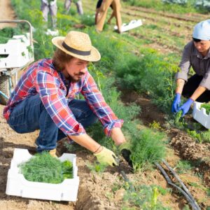 Farming Skills Training