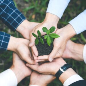 Essentials of Environmental Management
