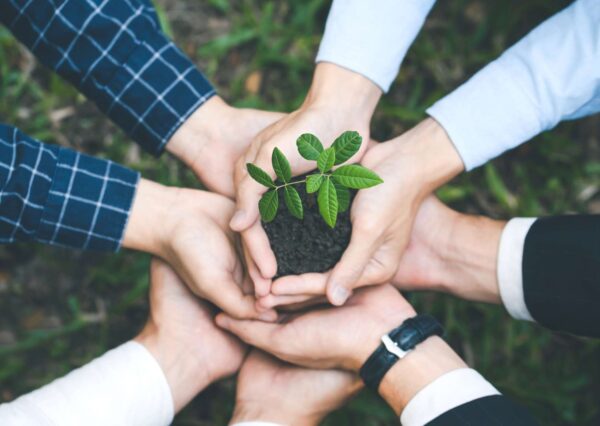 Essentials of Environmental Management
