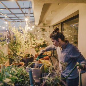 Gardening Basics
