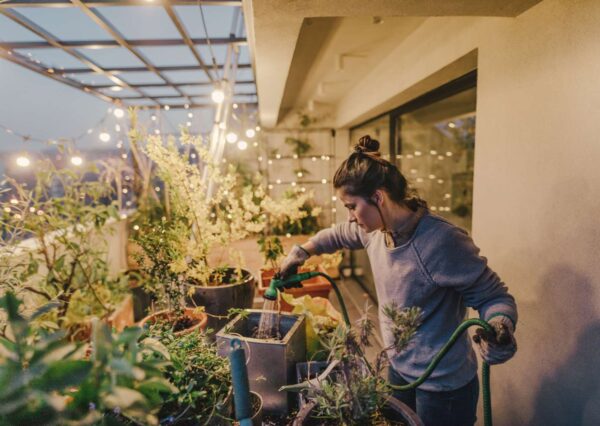 Gardening Basics