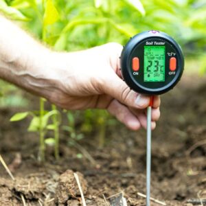 Greenhouse Effects Overview