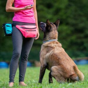 Certified Dog Training Program