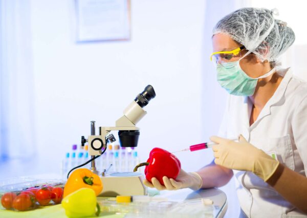 Food Science Training Workshop