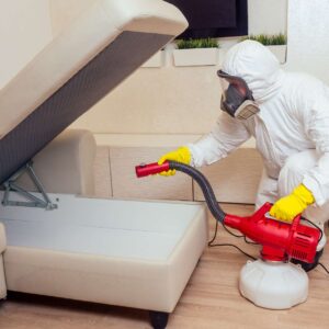 Home Environment: Bed Bug Prevention Solutions