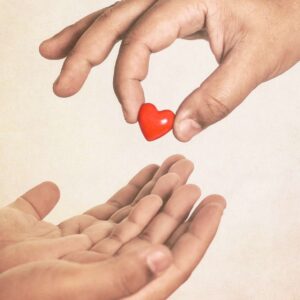 Joy in Sharing: The Art of Giving