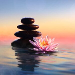 Meditation Essentials