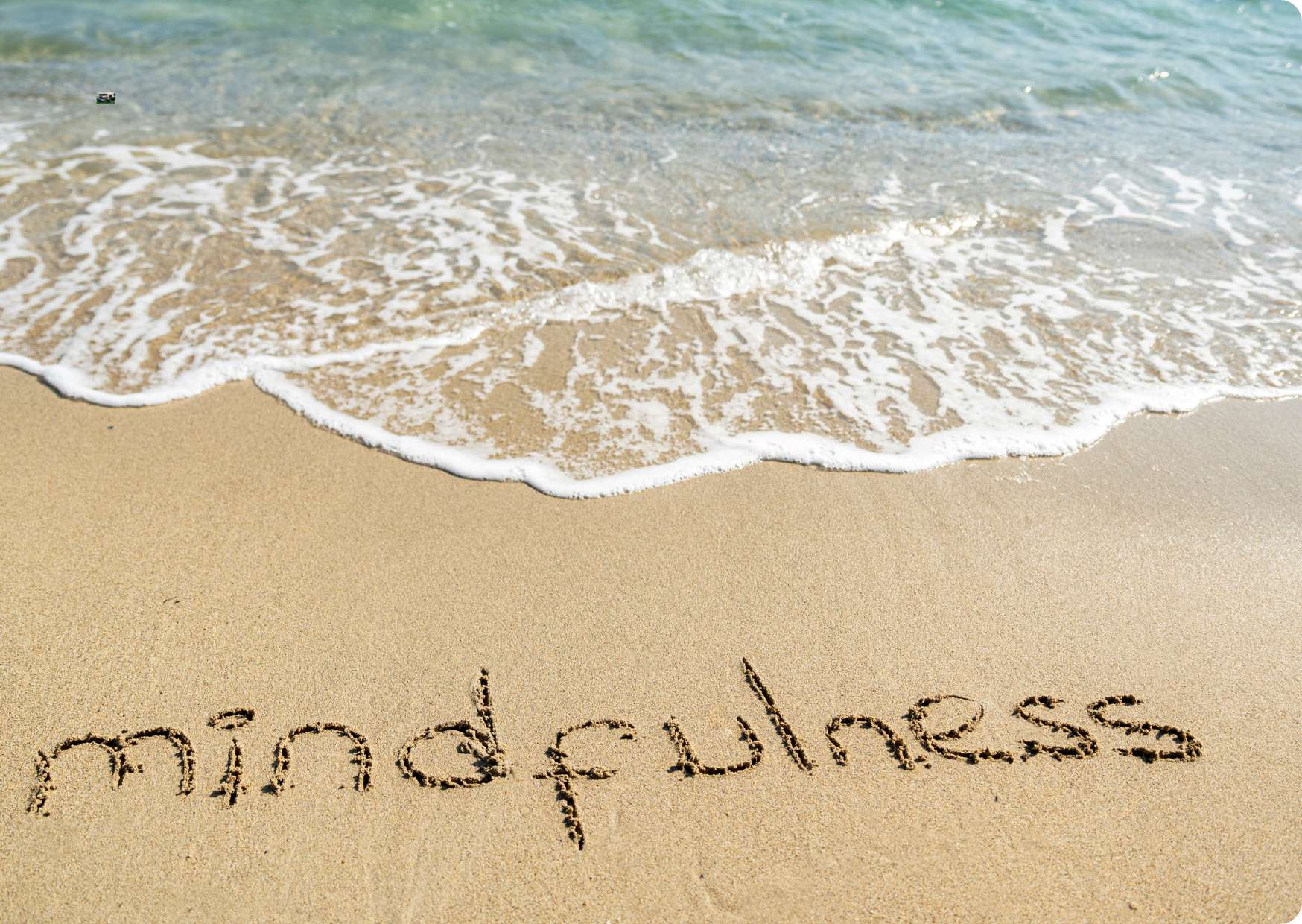 Character Creation for Children's Books