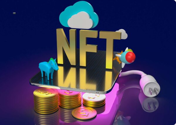 NFT Training Program