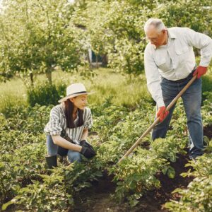 Online Gardening Workshop