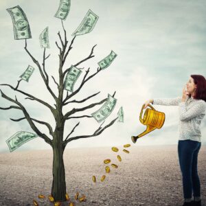 Online Income Generation Training