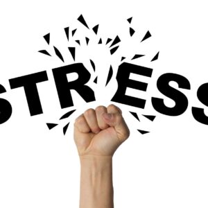 Online Stress Management Program