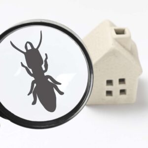 Pest Control Certification Program