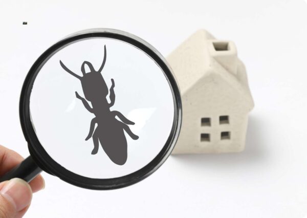Pest Control Certification Program