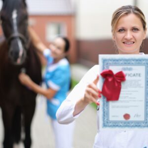 Entrepreneurship Fundamentals Certificate