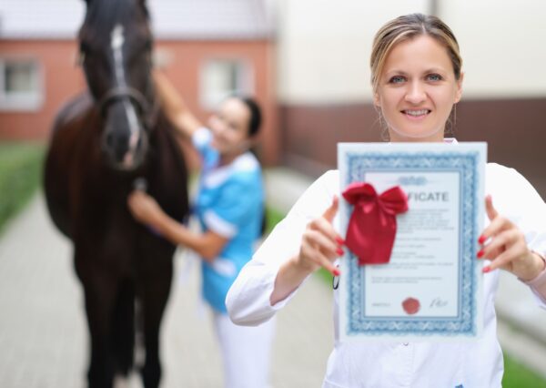 Entrepreneurship Fundamentals Certificate
