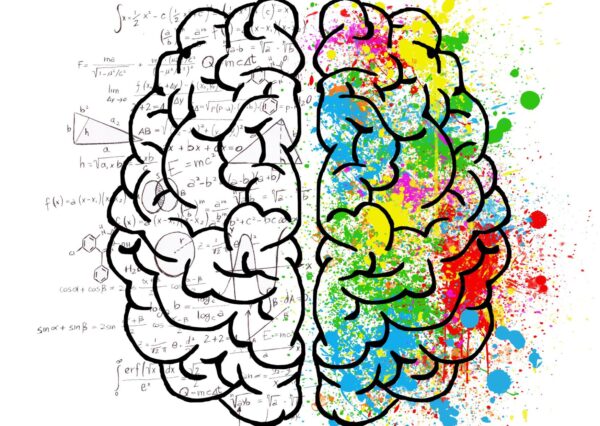 Positive Psychology Principles Training