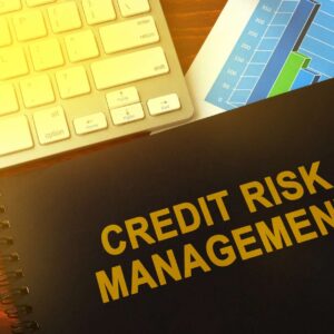 Credit Control Strategies Training