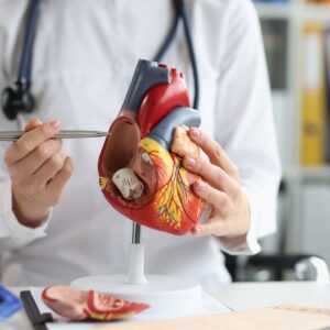 Anatomy and Physiology Certification