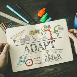Business Evolution Adaptation Strategies