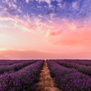 Unleashing Abundance